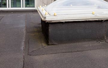 disadvantages of Winterborne Clenston flat roofs