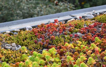 the cost of Winterborne Clenston green roof installation