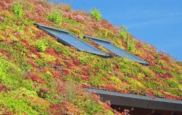 Winterborne Clenston living roof systems