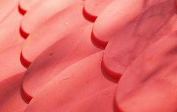 Winterborne Clenston plastic roof costs