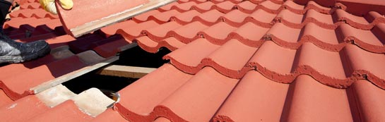 compare Winterborne Clenston roof repair quotes